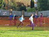 2019-11-24 Cross Diomedon - 268
